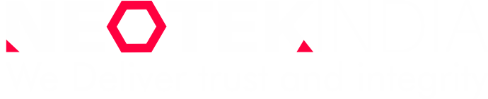 Noetek India Logo